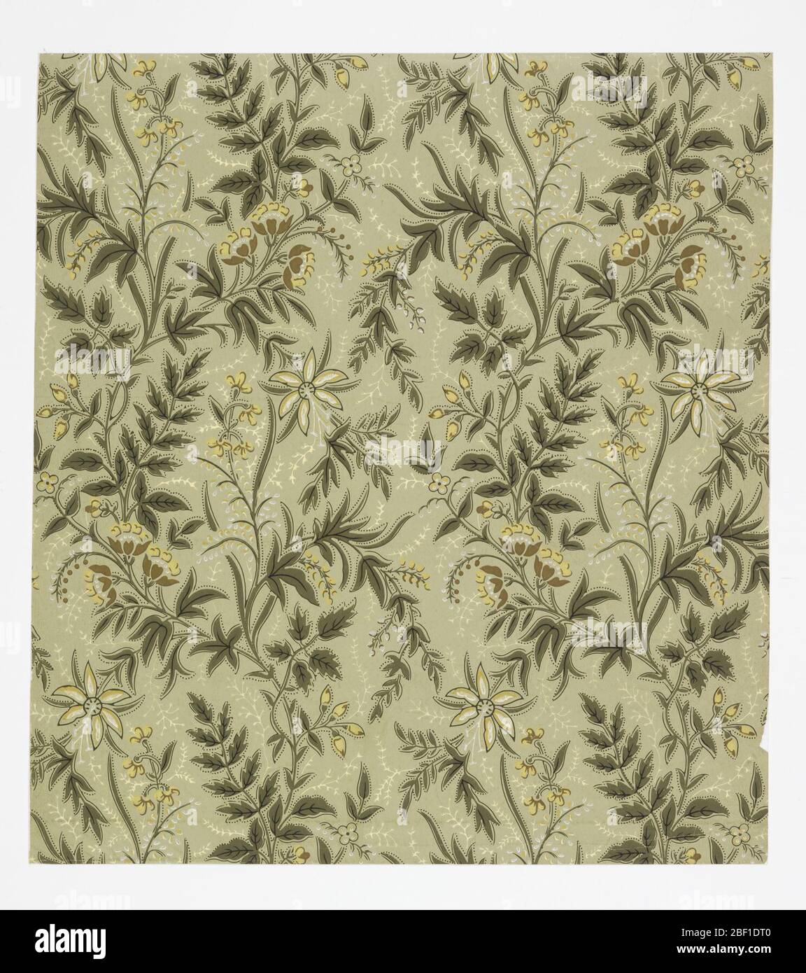 Flanc. Motif esthétique tout-en-un avec motif de vigne fleuri avec plusieurs variétés de fleurs différentes; répétition à motif unique glissement vertical reflété et répété dans les colonnes; les fleurs sont brun, blanc et jaune, la vigne est vert, et les brins blancs remplissent l'espace négatif; le sol est clair gr Banque D'Images