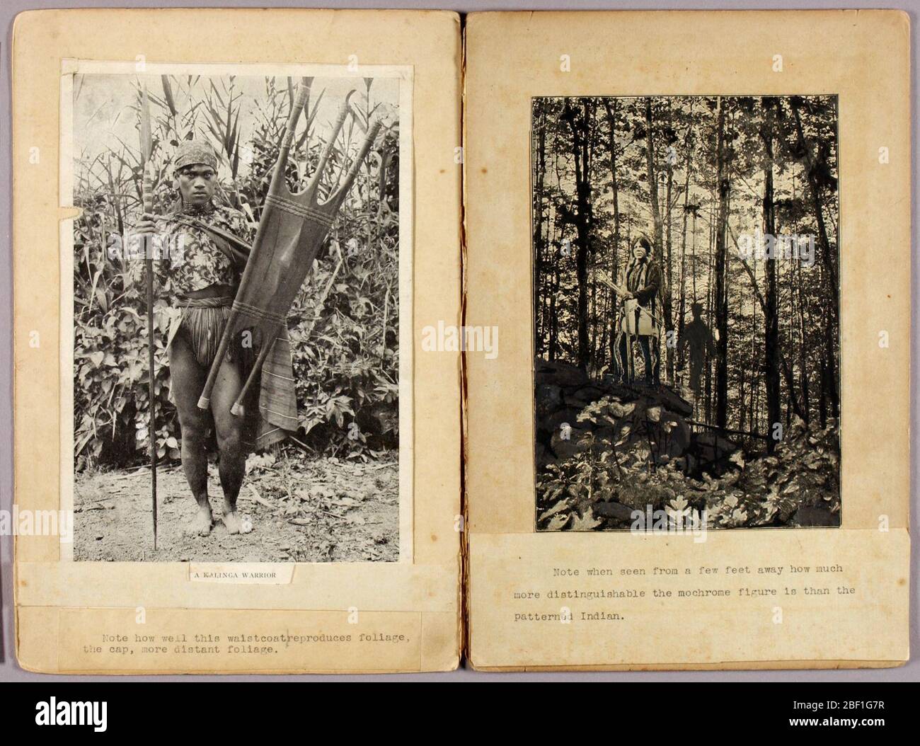 Kalinga Warriors et N American Indians étudient le dossier pour le livre dissimulant la coloration dans le Royaume d'animaux. Banque D'Images