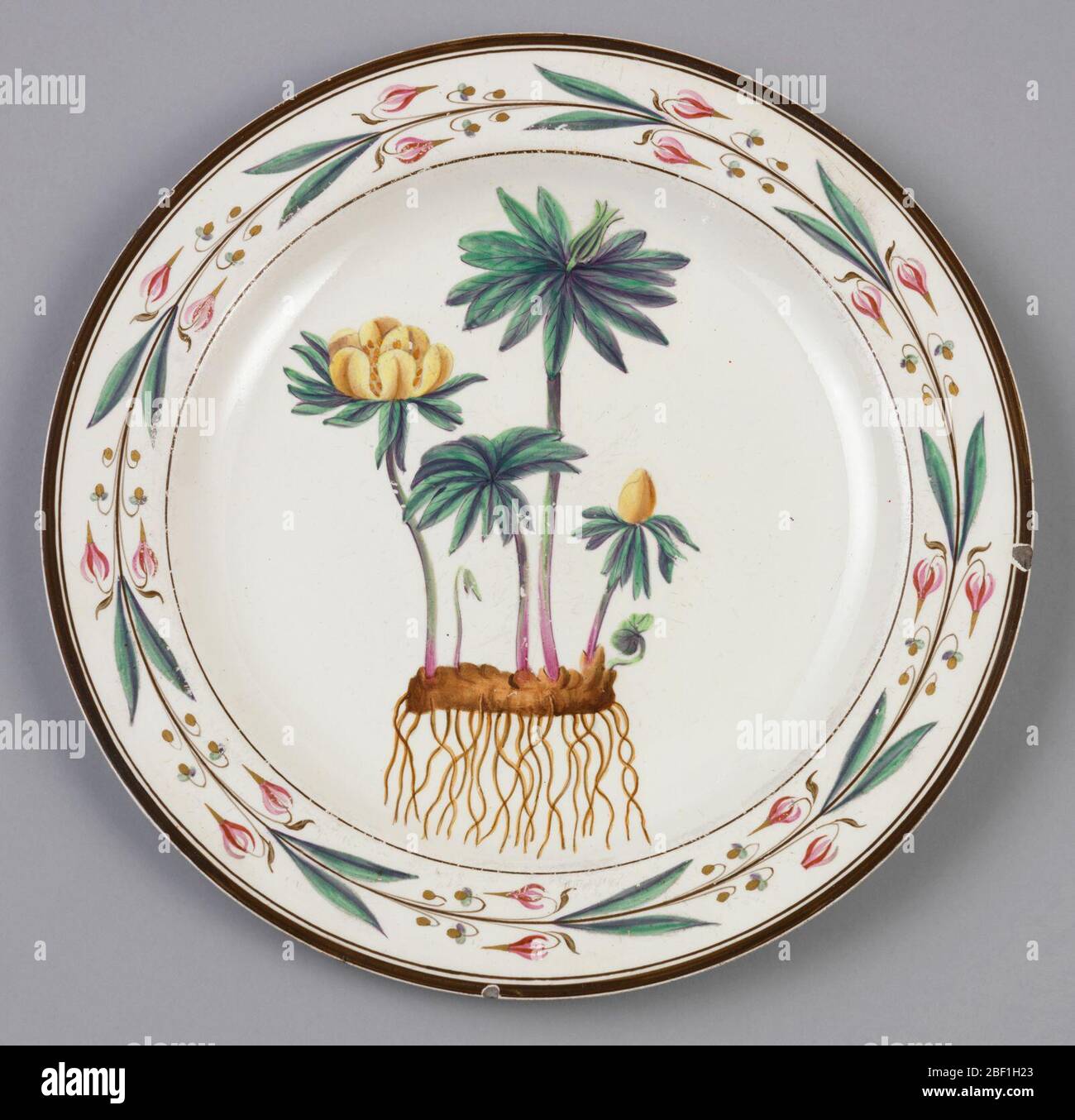 Casque hiver. Circulaire; bordure avec décoration peinte de vigne avec feuilles et fleurs; centre peint avec quatre fleurs et deux pousses qui sortent de la terre (Eranthus hyemalis - Winter Aconite), avec des racines pendantes en dessous. Banque D'Images