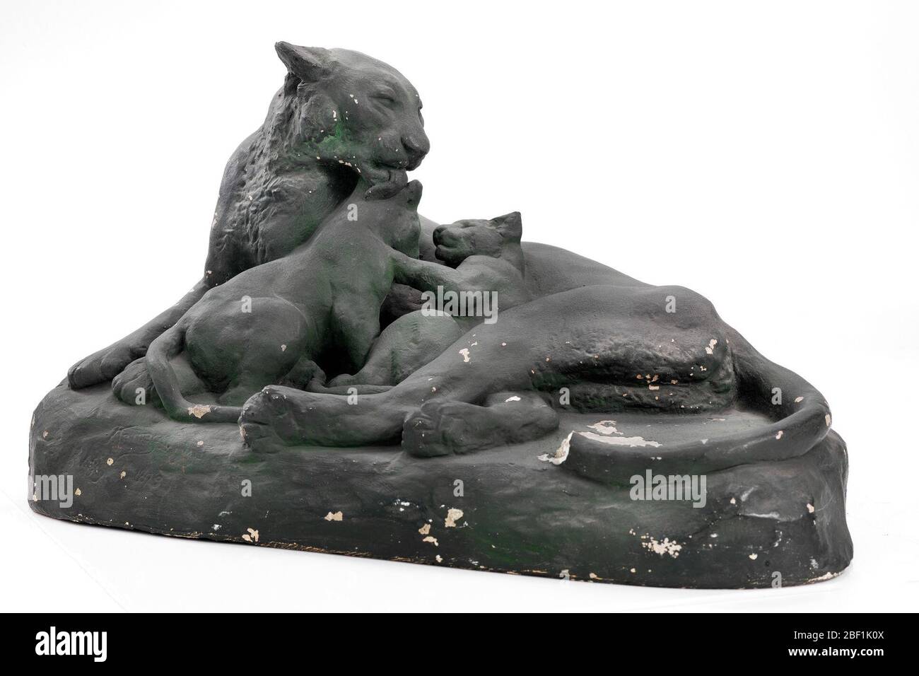 Panther et Cubs américains. Banque D'Images Panther et Cubs américains. Banque D'Images