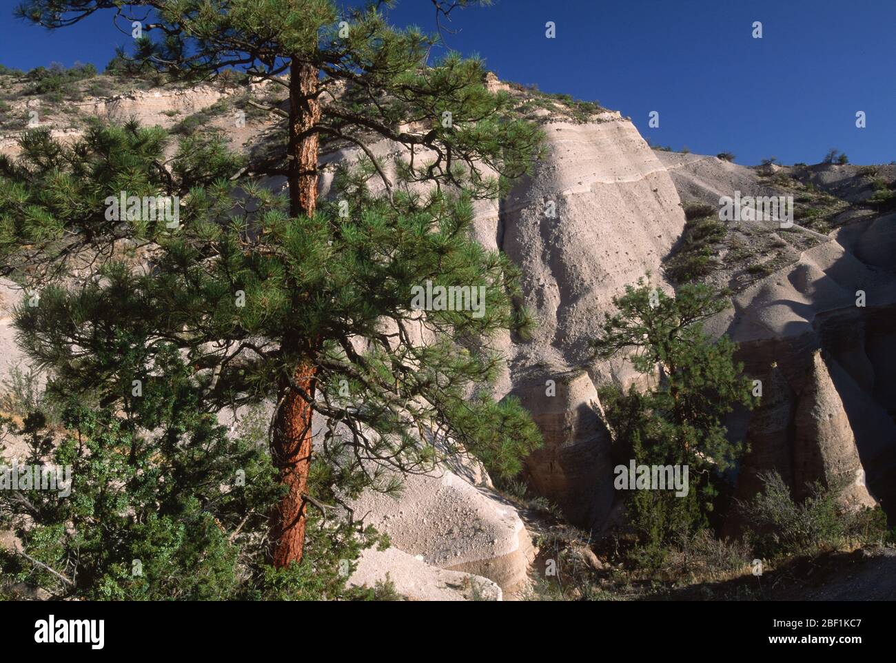 PIN, monument national de Kasha-Katuwa Tent Rocks, Nouveau-Mexique Banque D'Images