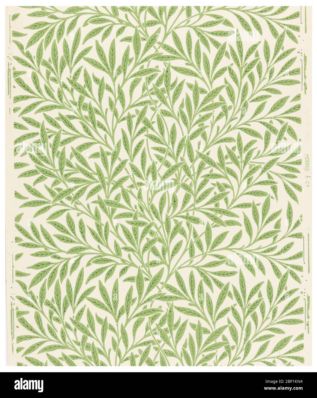 Saule. Feuilles de saule dans un modèle apparemment aléatoire. Imprimé vert sur la crème. Banque D'Images