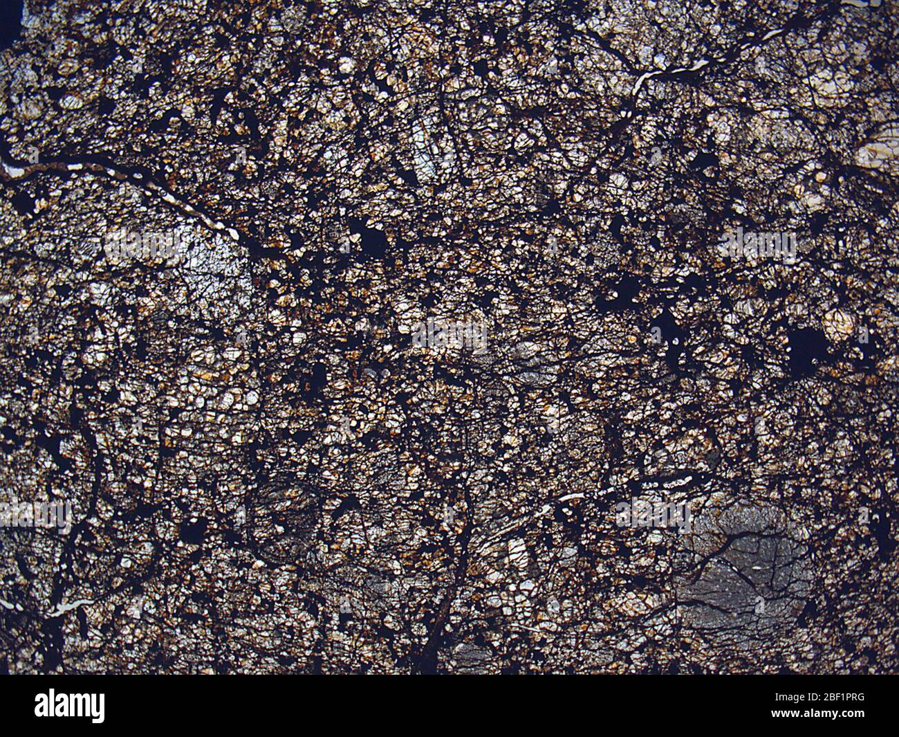 Mulga nord. 23 août 201820774561 Banque D'Images