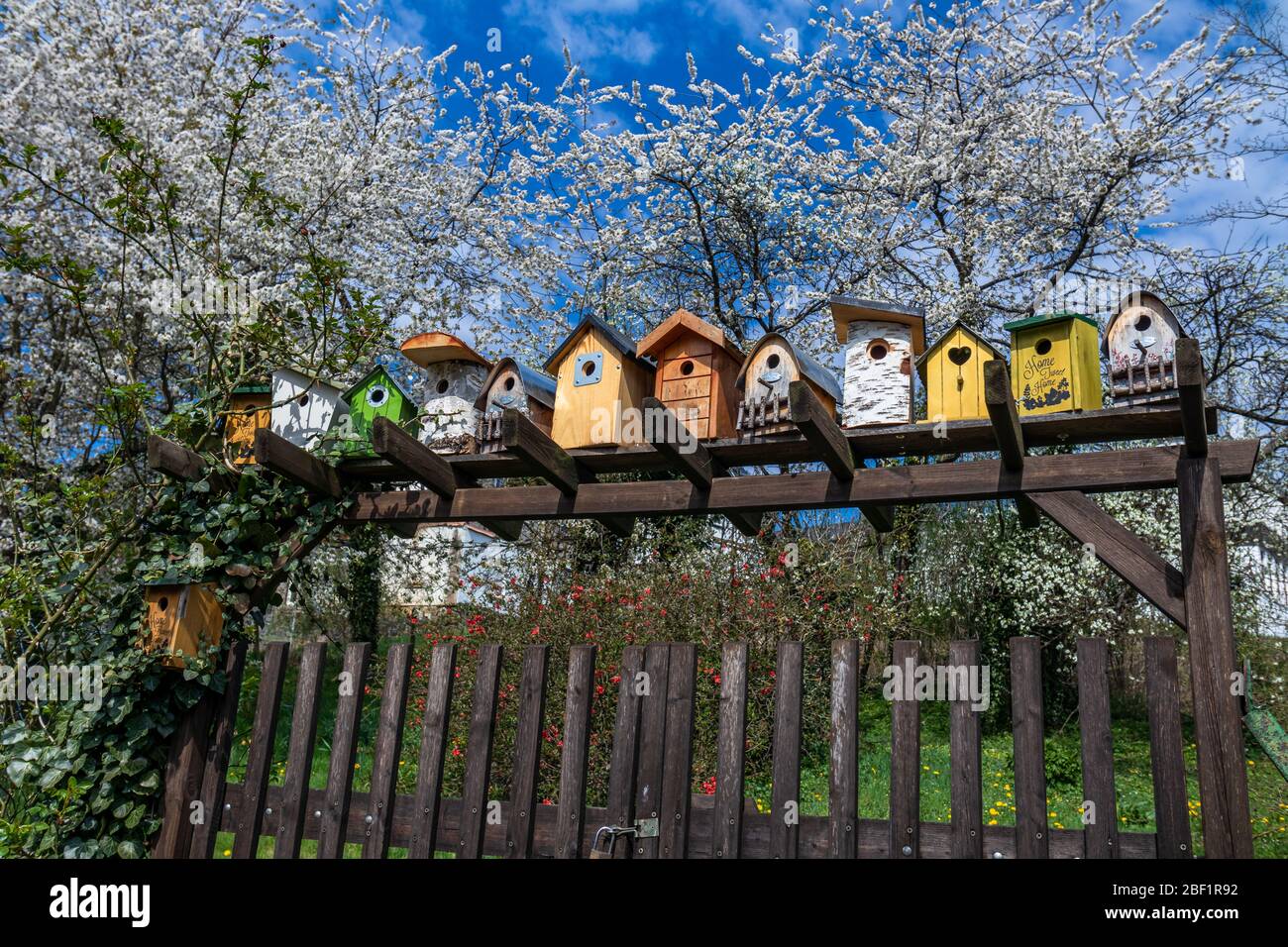 nichoirs décoratifs à une porte d'entrée à un jardin fleuri Banque D'Images