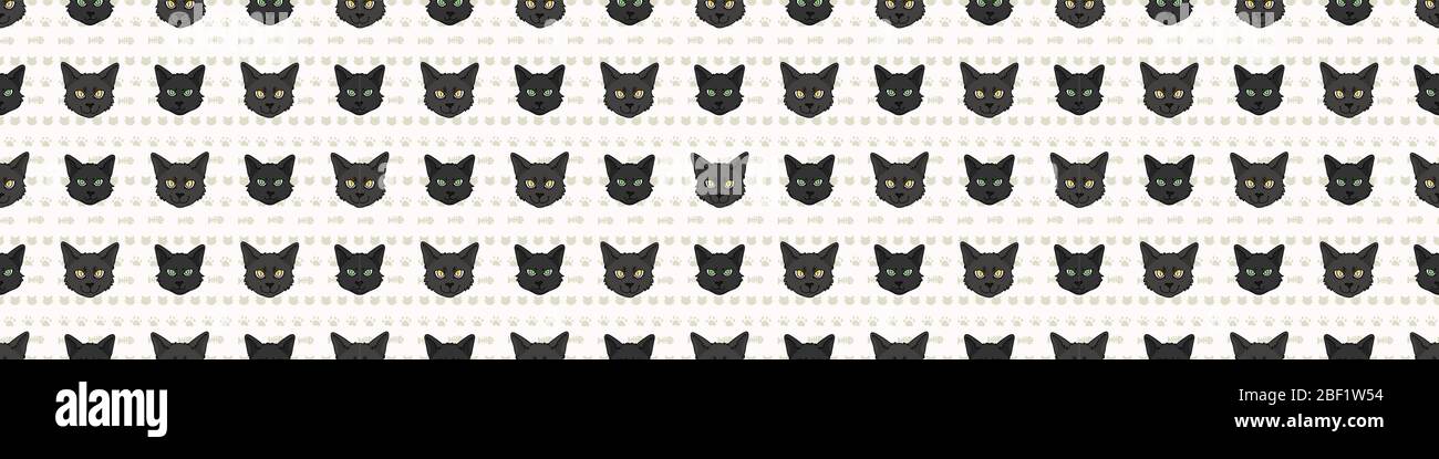 Jolie Bande Dessinee Bombay Chat Et Chaton Face Sans Couture Bordure Modele Pedigree Race Domestique Chaton Contexte Ruban Washi Rouge A La Puree Pour Amoureux De Chat Image Vectorielle Stock Alamy
