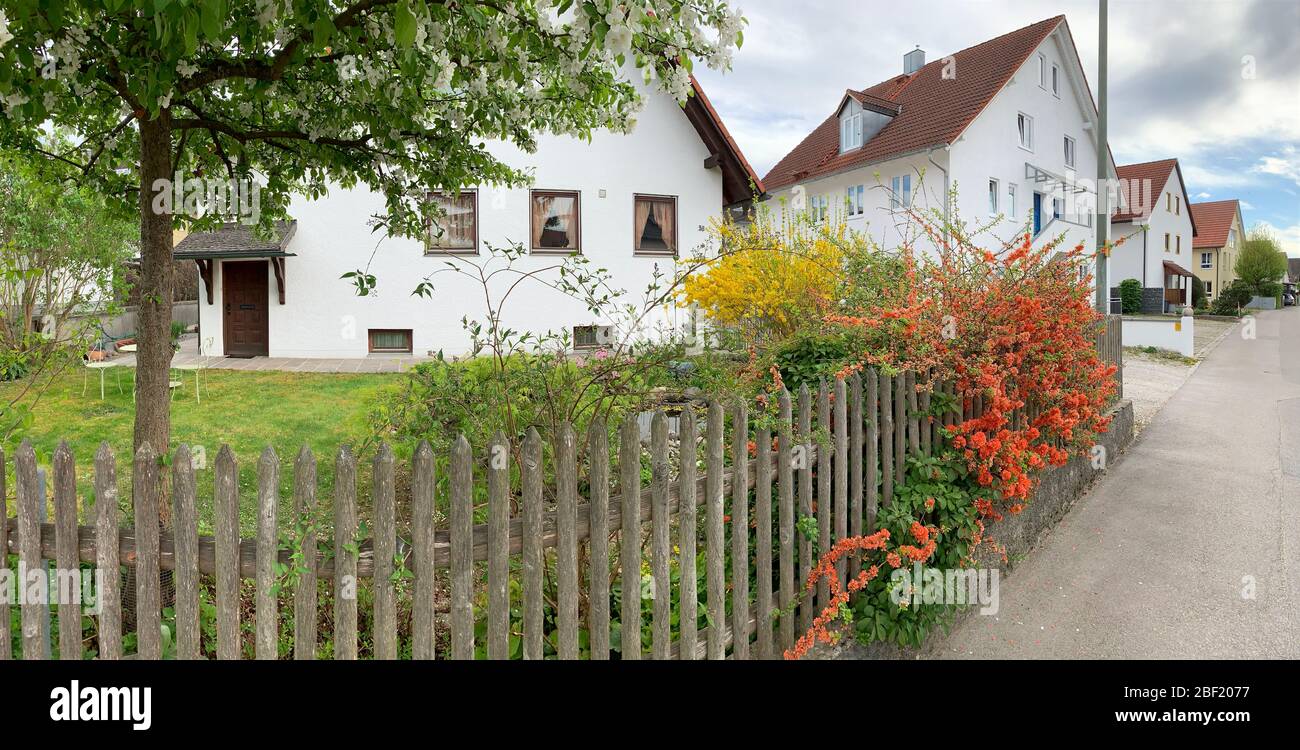 Allemagne, Munich, 25 avril 2019: Panorama de la rue avec des bâtiments, mur de fleurs rouges et jaunes, une petite feuille verte, jardin, clôture en bois Banque D'Images