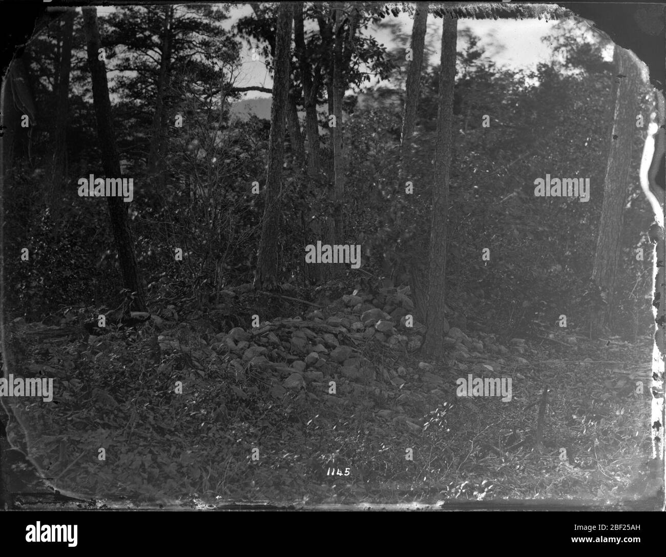 Rochers dans une zone forestière. Aussi connu sous le nom de USNM No 1145 et RU95 Box76 083 [SPI 3809].Voir aussi Record Unit 95, Box 76.Smithsonian institution Archives, ACC. 11-006, boîte 001, image n° Banque D'Images