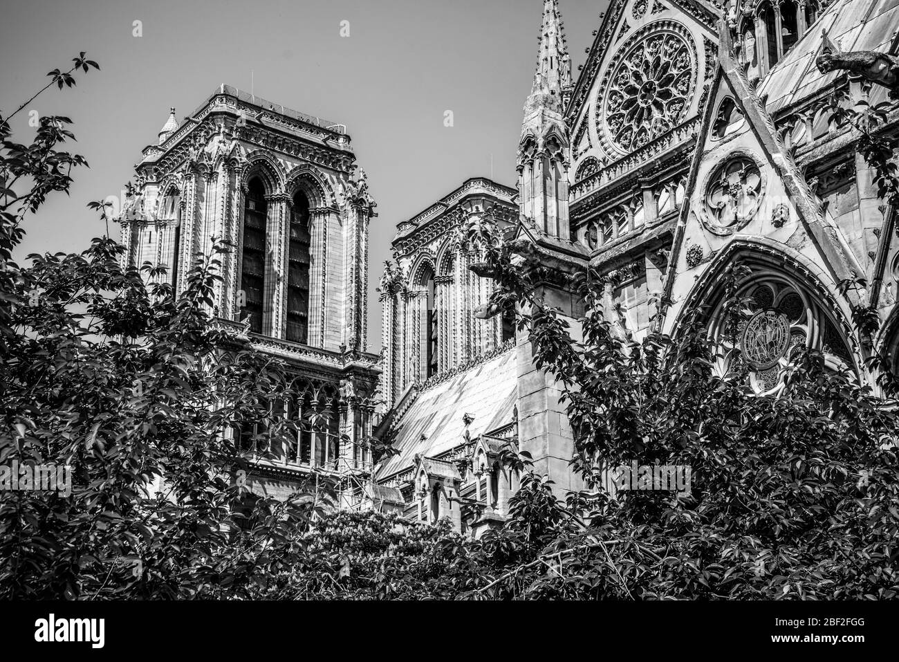 Église Steeple de la cathédrale notre Dame de Paris/France Banque D'Images