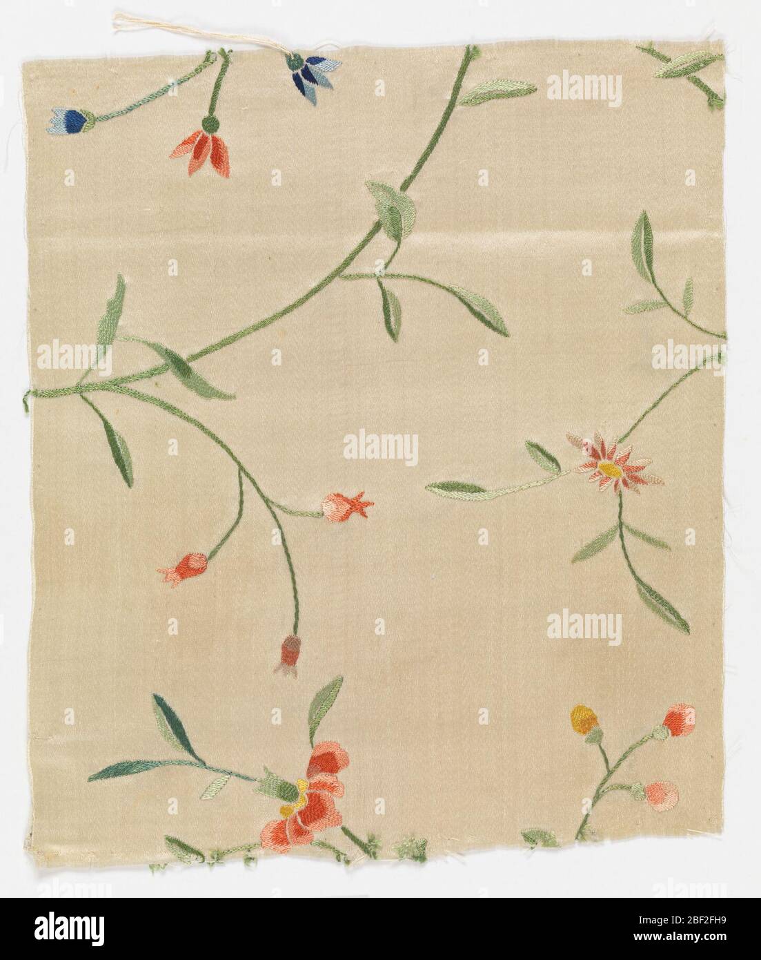 Textile. Fragment de satin blanc brodé dans un motif fleuri en soie colorée. Banque D'Images
