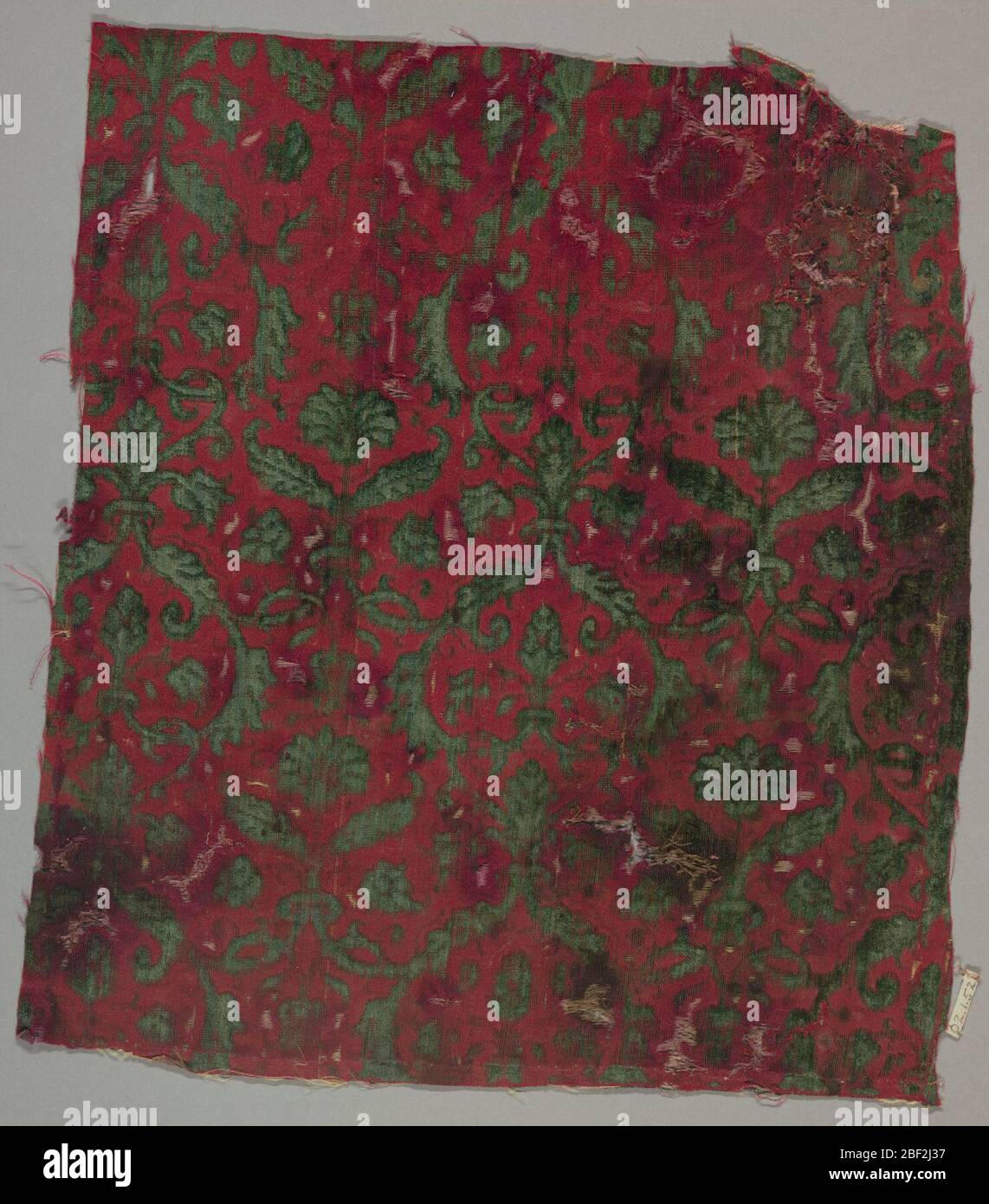 Fragment. La plante se forme en vert sur le sol rouge. Banque D'Images