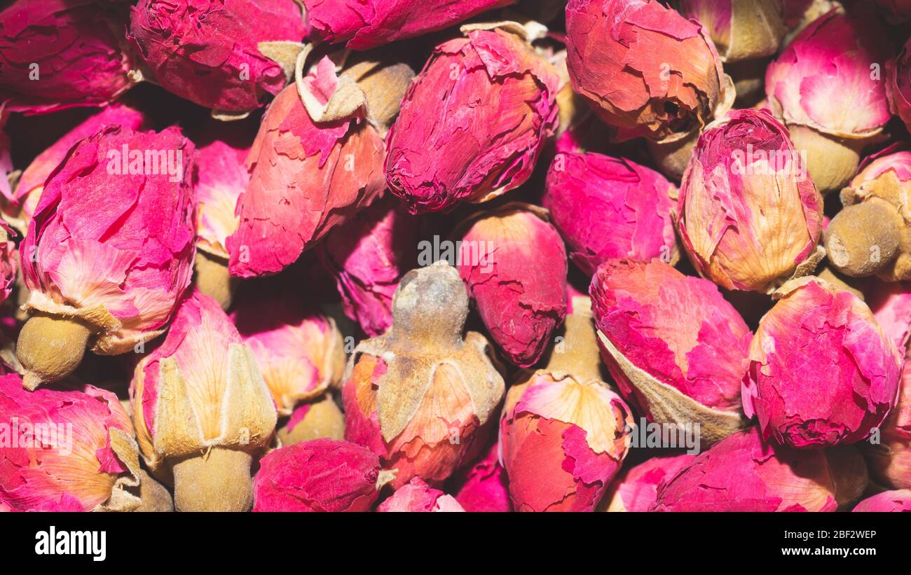 Gros-boutons de rose séchée. Ingrédient de tisanes Banque D'Images