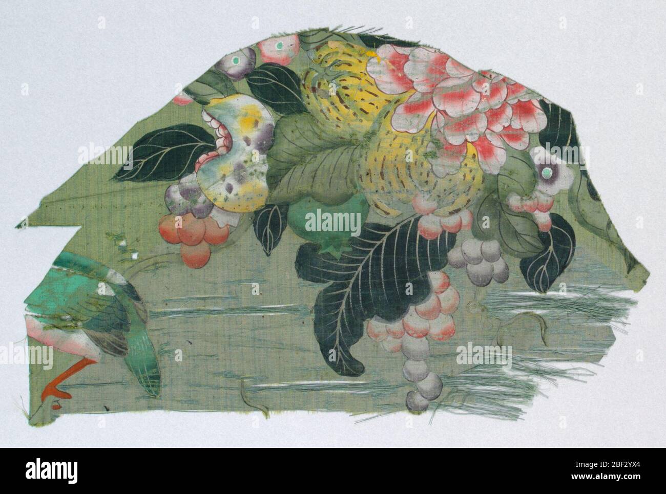Fragment. Fragment de soie bleu-vert, montrant une partie de dessin peint; grand groupe de raisins, de feuilles et de pivoine peints dans des tons de rouge, vermillion, jaune, violet. En bas à gauche apparaît la queue d'un oiseau, une jambe et une griffe embrayées à la tige. Banque D'Images