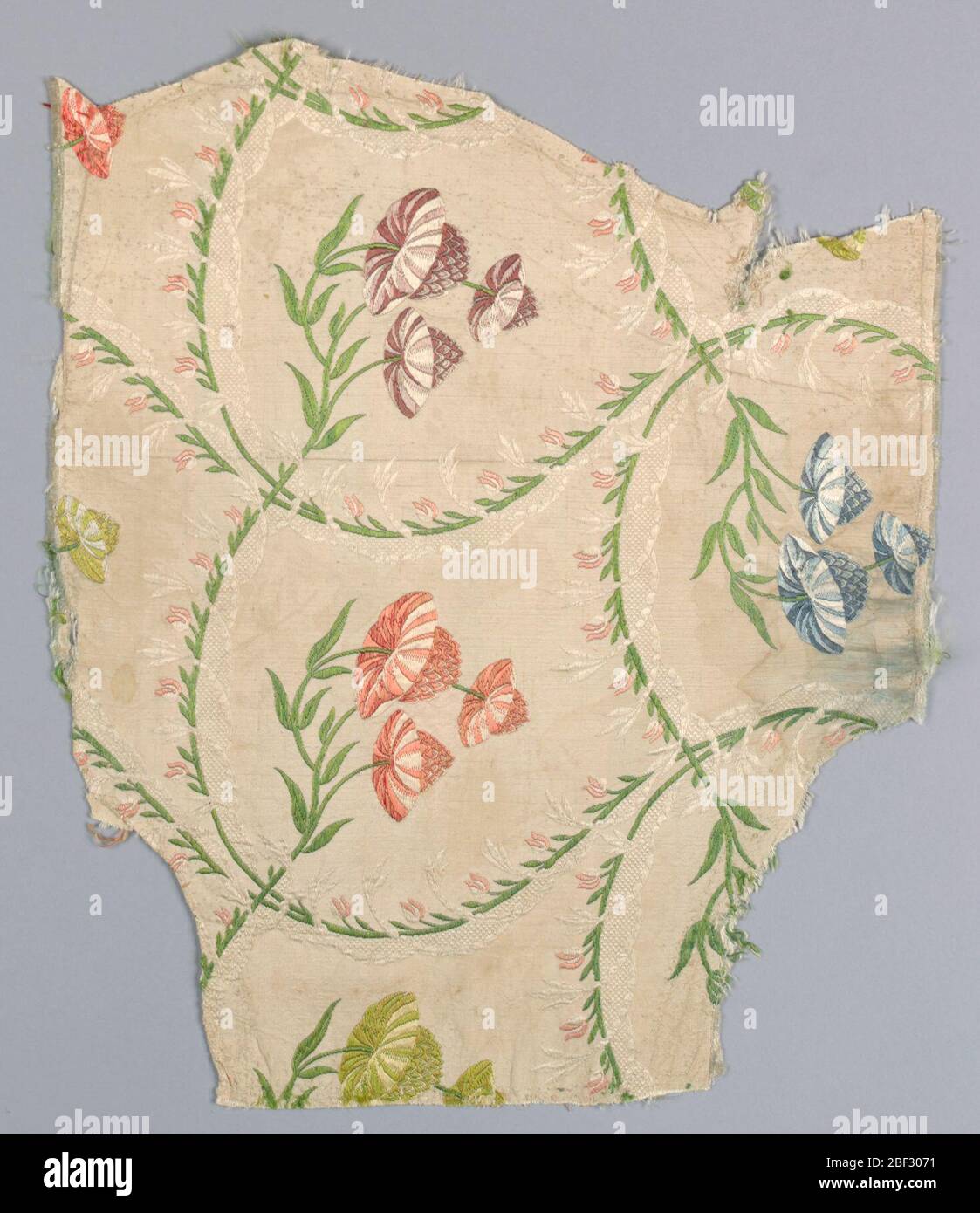 Fragment. Tiges vertes à courbure mince pour permettre l'entrelacement et le déplacement du sol en zones à quatre côtés. Chaque tige se termine en trois fleurs fantastiques. Banque D'Images