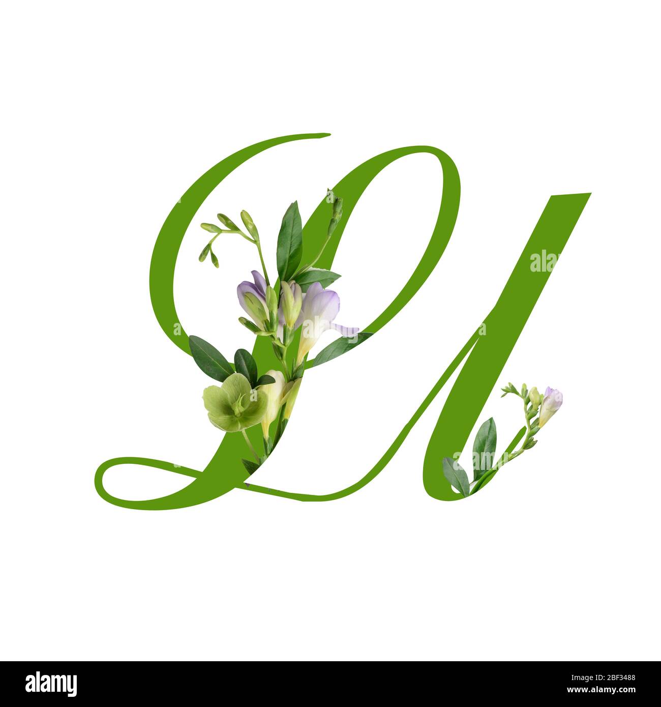 Lettre L avec de belles fleurs sur fond blanc Banque D'Images