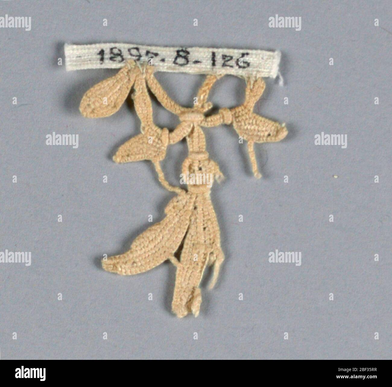 Fragment. Le fragment a une partie d'une petite fleur en forme de cloche avec deux pétales restants et quelques feuilles. Banque D'Images