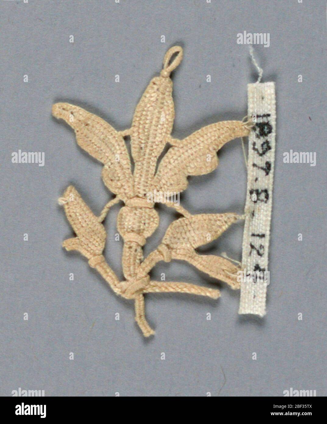 Fragment. Fragment en forme de petite fleur en forme de cloche. Fleur centrale avec petites tiges s'étendant en dessous. Banque D'Images