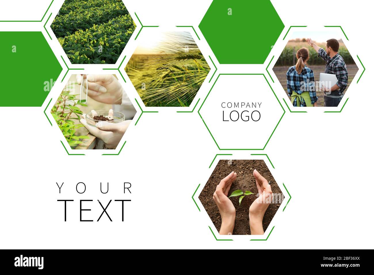 Collage de photos avec des ingénieurs agricoles Banque D'Images