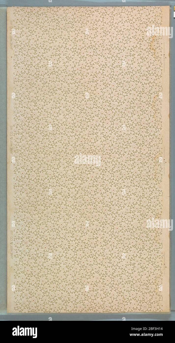 Papier de plafond. Motif fleuri et vinage tout simple. Imprimé sur crème mouillée en mica liquide beige, marron et blanc. Imprimé en bordure de rue : 'Janeway & Co. Inc.' Banque D'Images