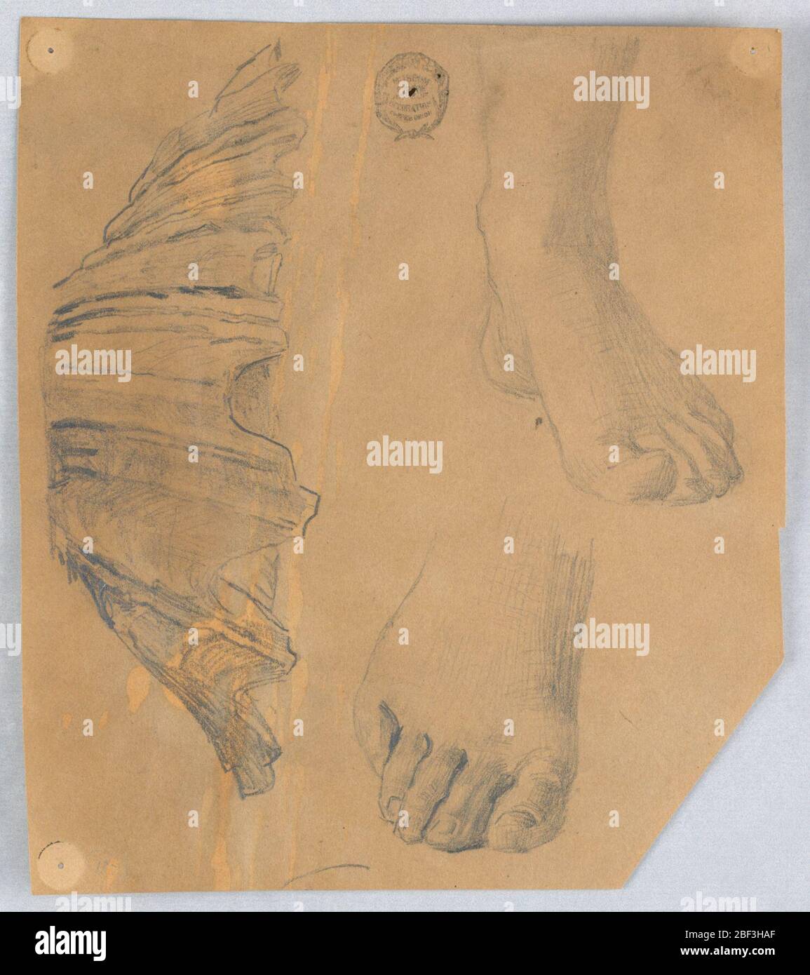 Études des pieds et d'une coque cannelée. A gauche, la coque. Pied droit, au-dessus, gauche ; en dessous, partie inférieure du pied droit. Banque D'Images Études des pieds et d'une coque cannelée. A gauche, la coque. Pied droit, au-dessus, gauche ; en dessous, partie inférieure du pied droit. Banque D'Images