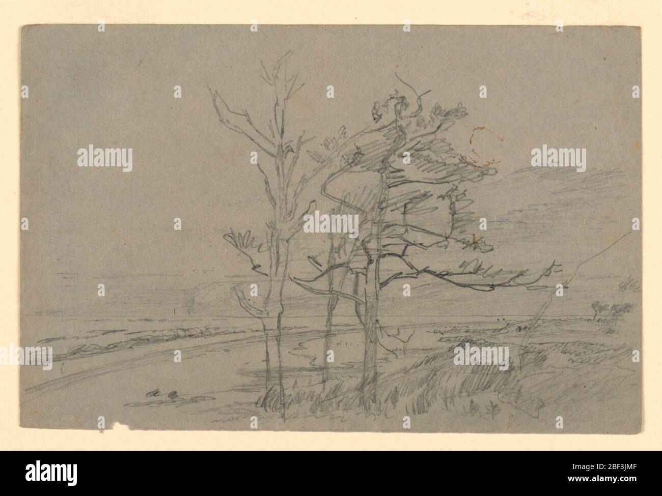 Étude du paysage. Esquisse d'arbres avec feuillage avec une montagne en arrière-plan. Banque D'Images