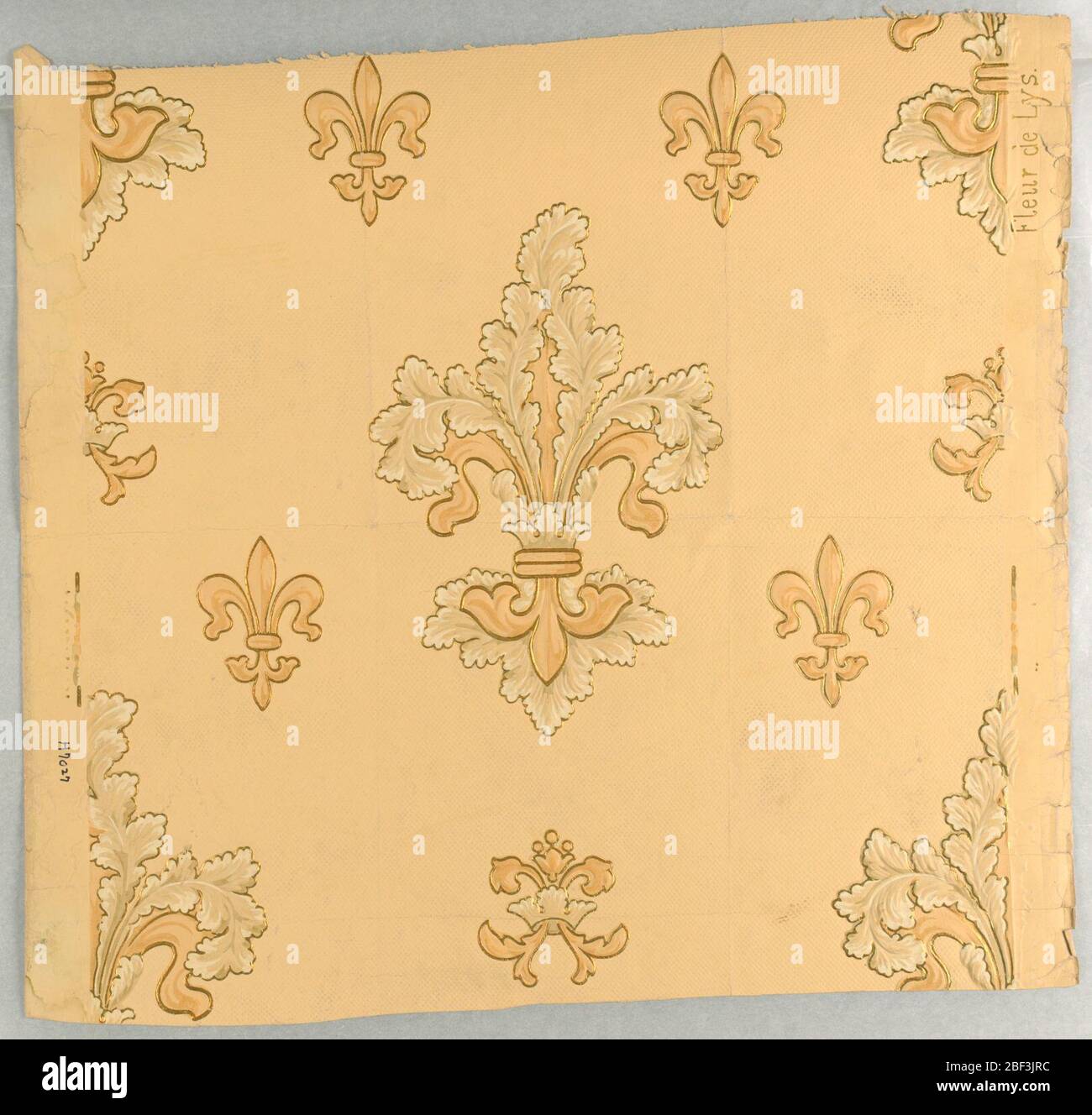 Fleur de Lys. Fleur de lys à grande échelle, avec détails de feuilles d'acanthus, alternant avec des fleurs de lys non ornées plus petites. Imprimé en tans et blanc sur terre brun clair. Banque D'Images