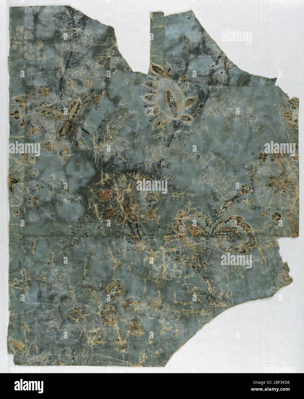 Fragment de flanc. Rectangle vertical irrégulier, avec vigne en serpentine croissant et grappes florales de style indien. Banque D'Images