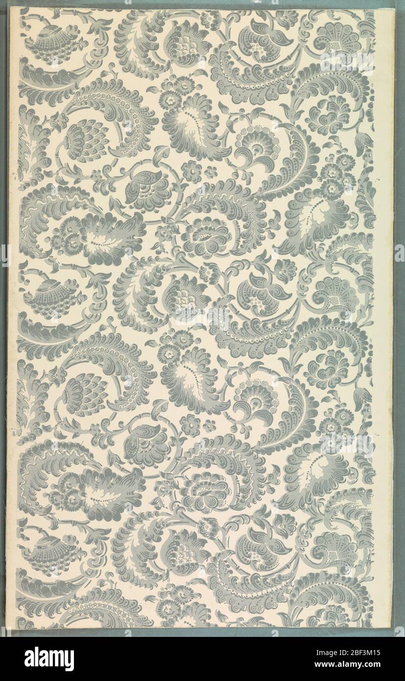 Flanc. Mettre en place de près l'arrangement de serpentine de fleurs, de feuilles et de tiges. Dans le style indien. Tons de gris sur fond blanc. Réimprimé à partir de blocs de bois des années 1820. Banque D'Images