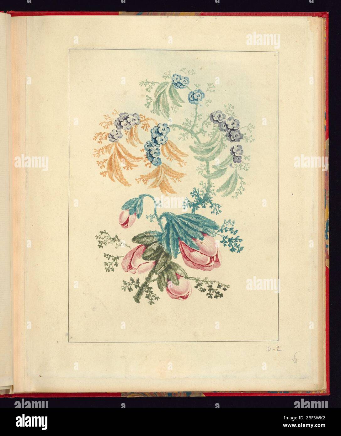 Décoration ornementale avec petites fleurs bleues de la Nouvelle suite de cahiers de fleurs naturelles une lacuse des dessinateurs et des tourbières N°1. Motif fleuri, tige et feuilles alternent, de haut en bas, du vert mousse, jaune moutarde, téale, au vert olive. Centre supérieur : quatre grappes de petites fleurs violettes et bleues. Centre inférieur : quatre grands bourgeons rougeâtres. Banque D'Images