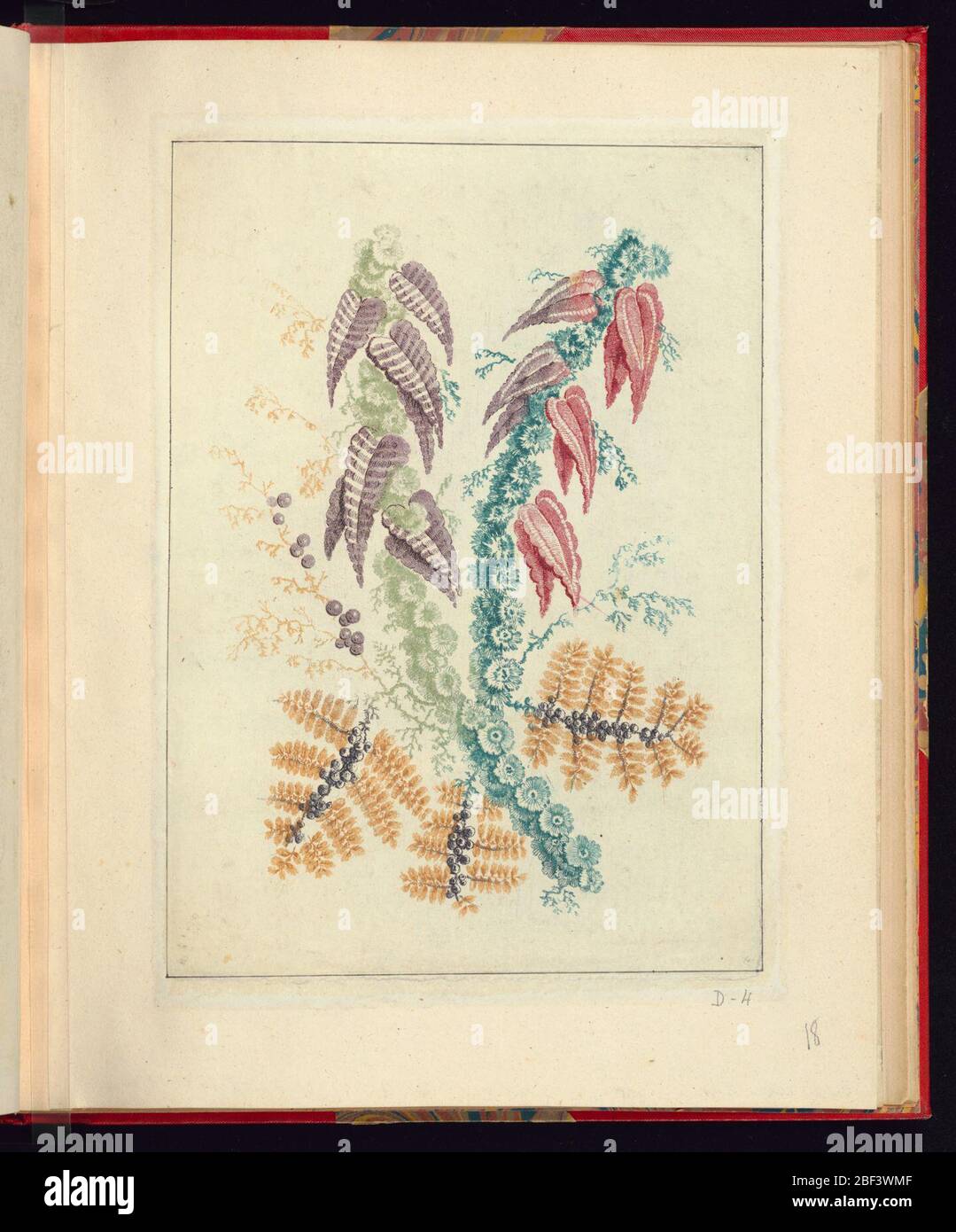 Décoration ornementale avec feuilles triangulaires pourpres et rouges de la Nouvelle suite de cahiers de fleurs natuelle une lacuse des dessinateurs et des tourbières N°1. Motif fleuri de différentes tiges et feuilles. Banque D'Images