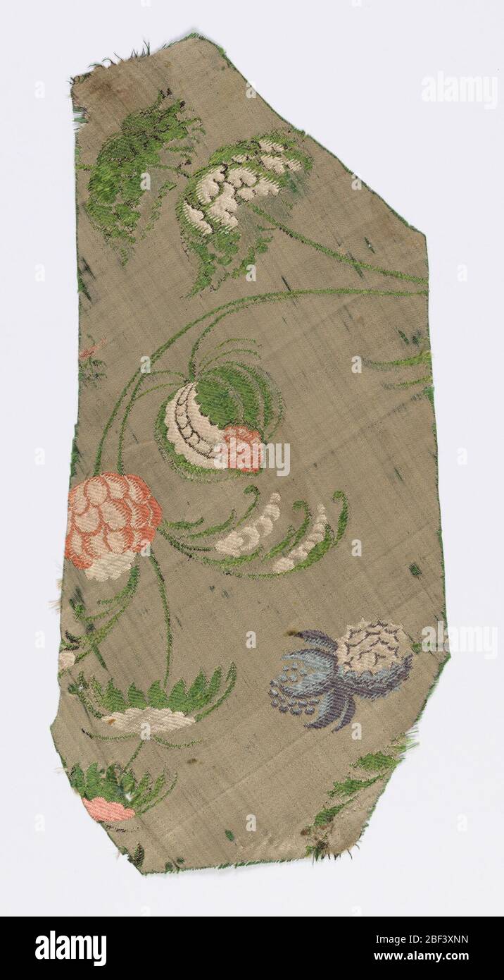 Fragment. Terre de satin blanc avec tiges de courbure mince avec feuillage exotique, fleurs et fruits. Une partie du design est figurée dans les wefts verts supplémentaires; d'autres détails brocart en blanc, rose, bleu et noir. Banque D'Images