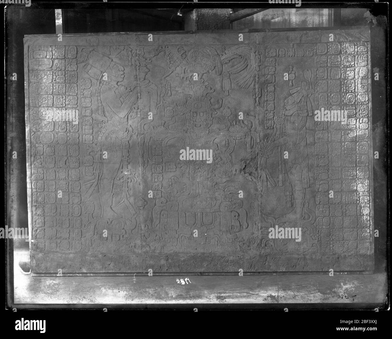 Distribution de la tablette Palenque. Aussi connu sous le nom de 2517.Voir aussi Record Unit 95, Box 79.Cast de bas-relief de la bande de Temple de la Croix aux ruines mayas de Palenque au Chiapas, Mexique.Smithsonian institution Archives, ACC. 11-007, case 010, N° d'image Banque D'Images