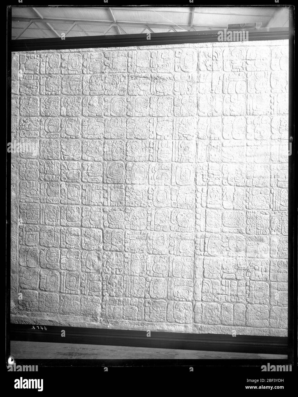 Collection Lorillard en fonte. Aussi connu sous le nom de 3744.Voir aussi Record Unit 95, Box 79.casts faits au Mexique par l'archéologue et explorateur Claude-Joseph Desire Charnay avec le financement de Pierre Lorillard IV.Cast de la collection Lorillard d'antiquités d'Amérique centrale avec des moulages de sculptures murales et p Banque D'Images