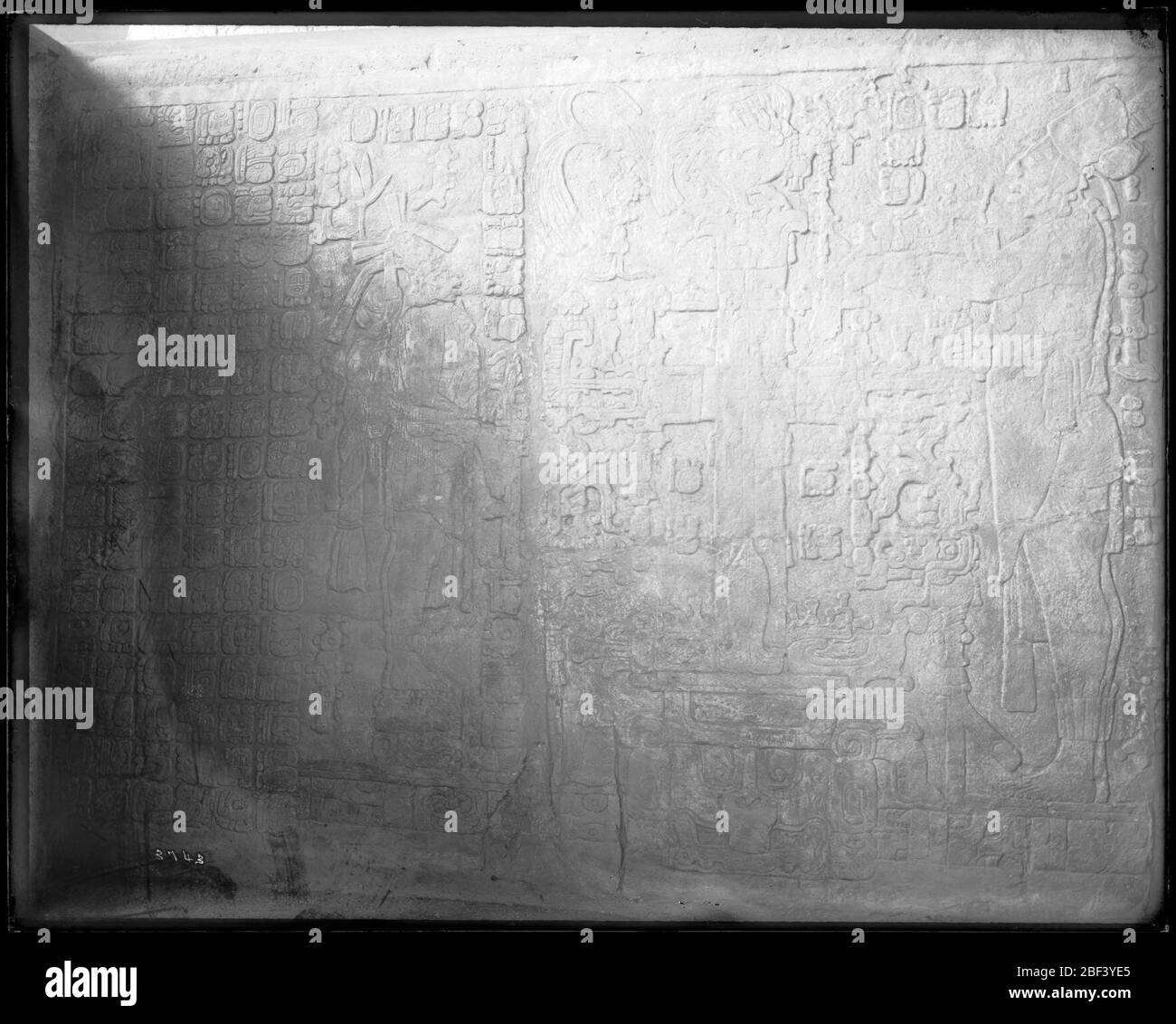 Distribution de la tablette Palenque. Aussi connu sous le nom de 3743.Voir aussi Record Unit 95, Box 79.Cast de bas-relief de la bande de Temple de la Croix aux ruines mayas de Palenque au Chiapas, Mexique.Smithsonian institution Archives, ACC. 11-007, case 016, image n° Banque D'Images