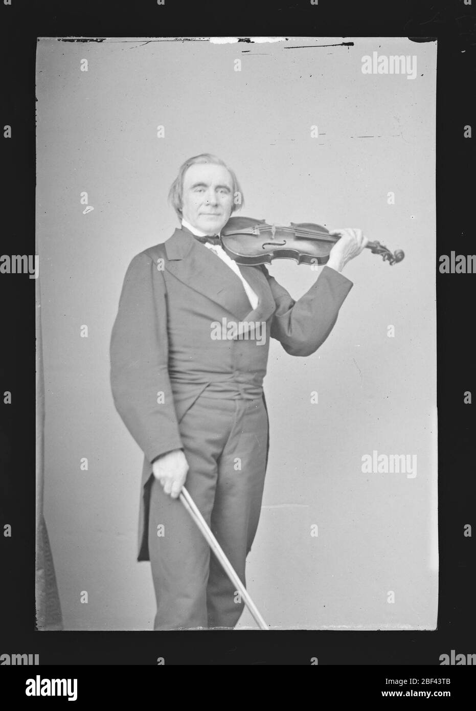 OLE Bornemann Bull Banque D'Images