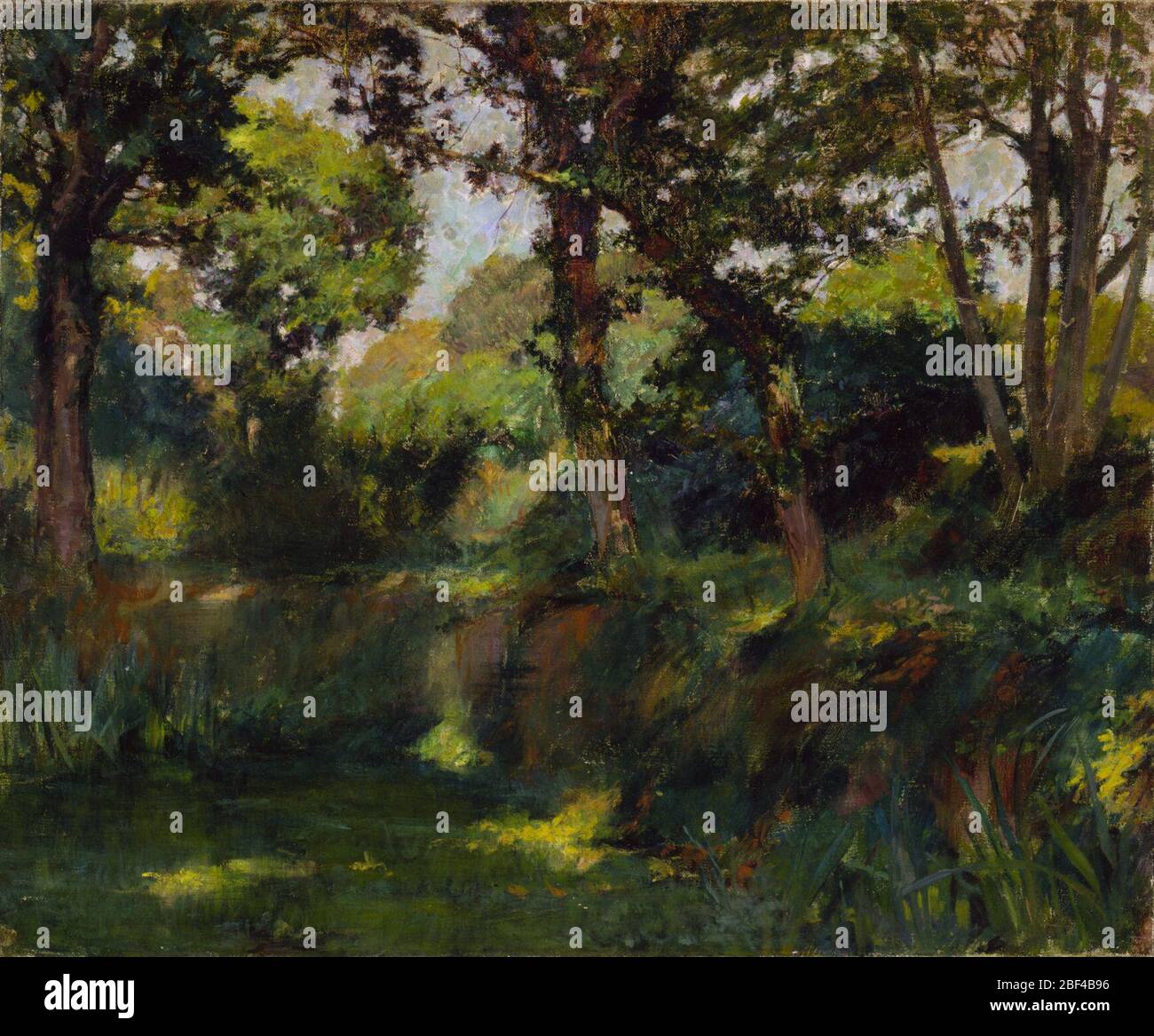 Paysage boisé. Banque D'Images