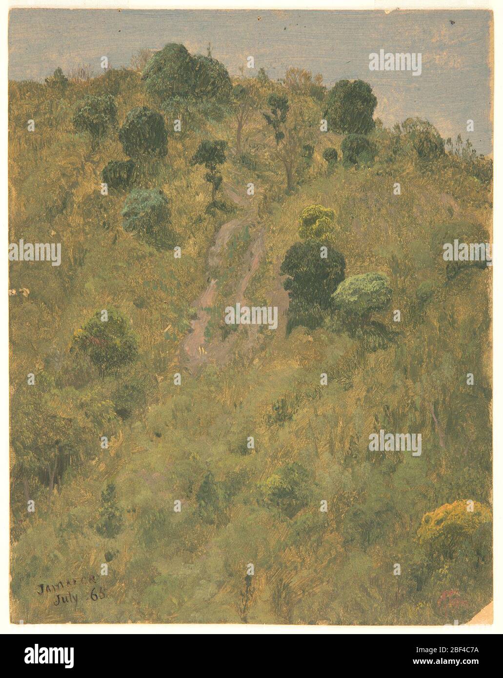 Paysage. Image verticale d'une vue d'oeil d'oiseau d'une colline montante avec herbe, buissons, et arbres. Banque D'Images