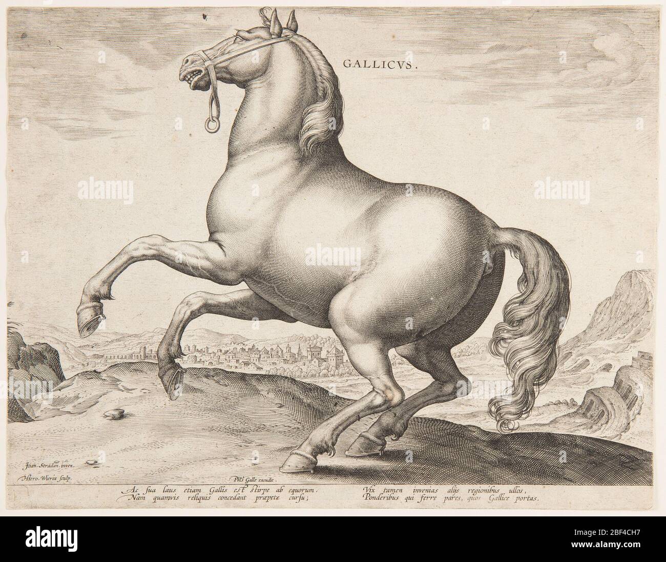 Un cheval français du premier ensemble d'Equile Joannis Austriaci. Banque D'Images
