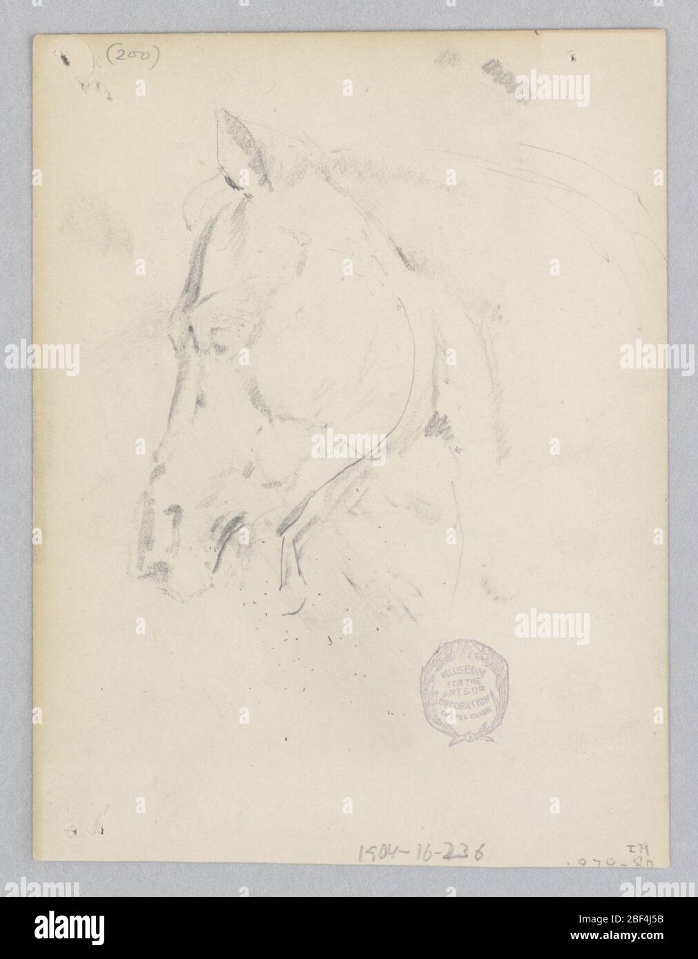 Cheval. Esquisse d'un cheval. Banque D'Images