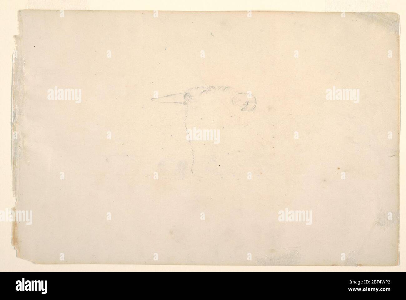 Esquisse d'une tête de vache. Recto: Étude de la tête d'une vache, esquissée dans le contour seulement. Profil de colline de verso avec effet de fixer son sur les nuages. Banque D'Images