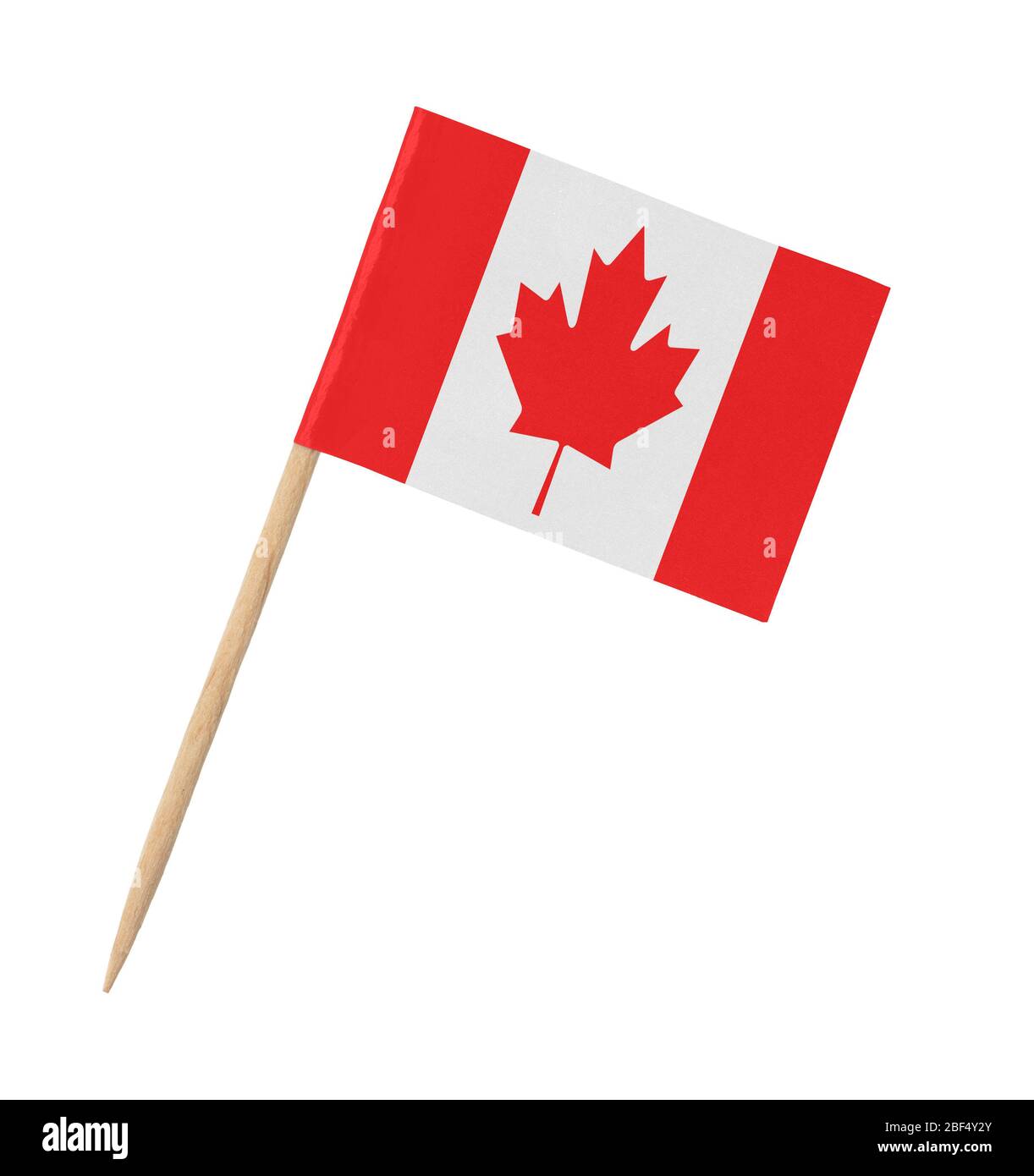 Petit papier drapeau canadien sur bâton en bois, isolé sur blanc Banque D'Images
