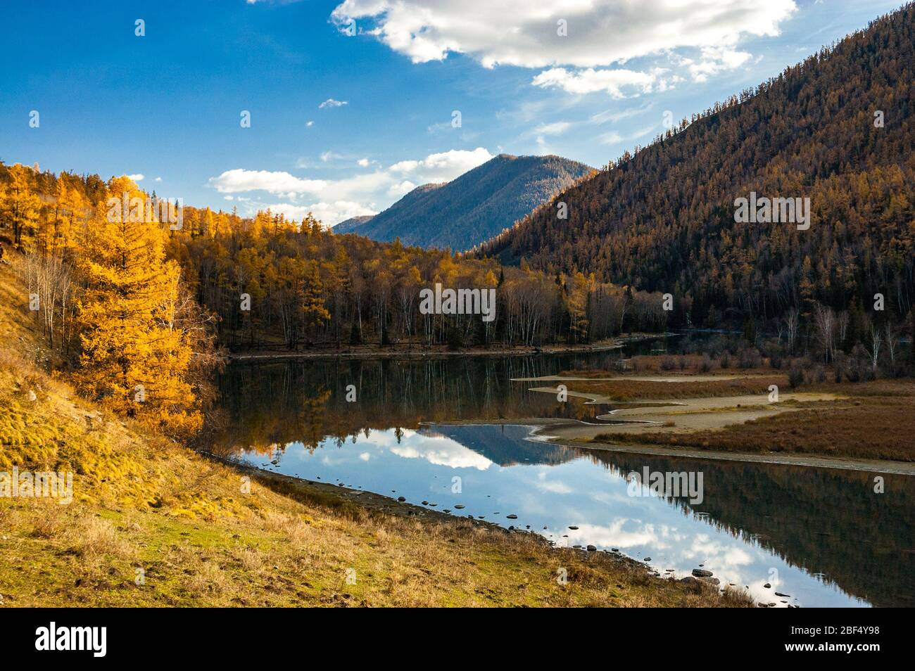 Collines boisées dans la région du lac Kanas, province du Xinjiang, Chine. Banque D'Images