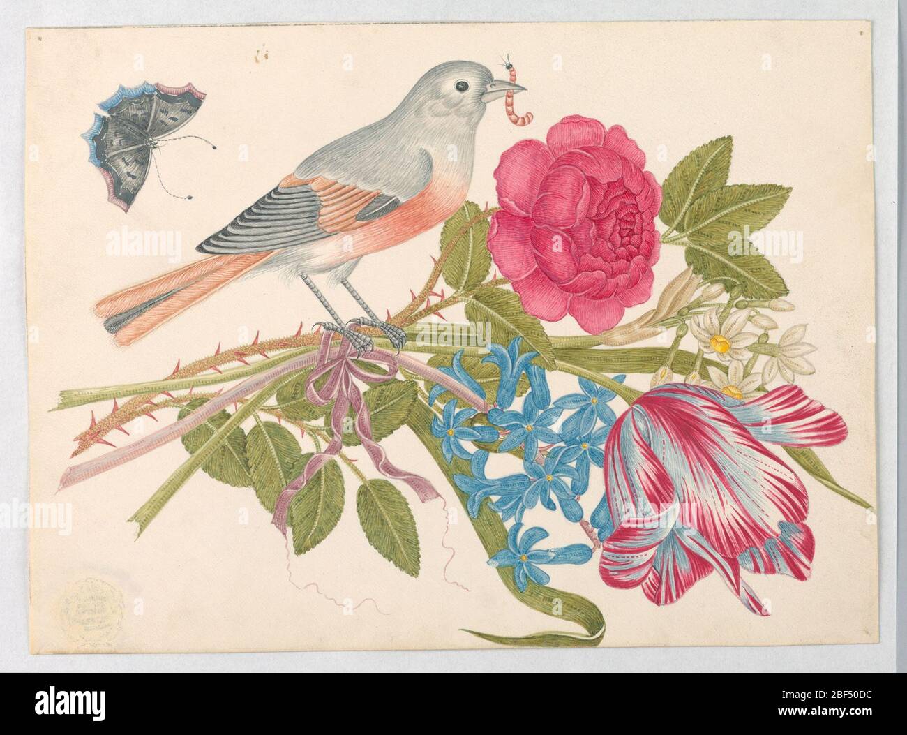 Gris et corail Bird sur Bouquet avec Rose Tulip Daisies et ForgetMeNots avec papillon. Oiseau gris et corail sur Bouquet avec Rose, tulipe, Daisies et Forget-Me-Nots, avec papillon Banque D'Images