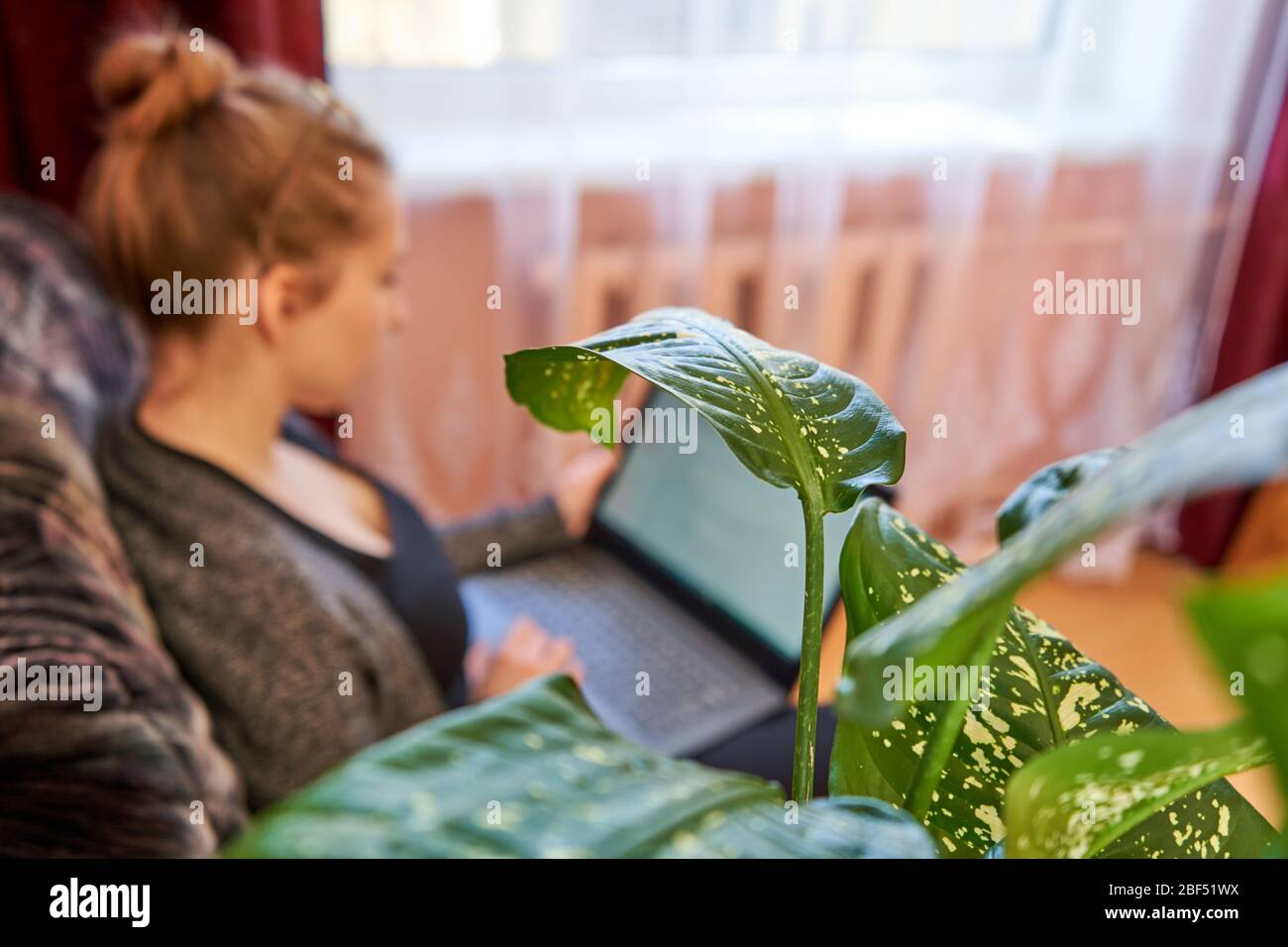 Fleur à la maison. Jeune femme travaillant en arrière-plan. Banque D'Images