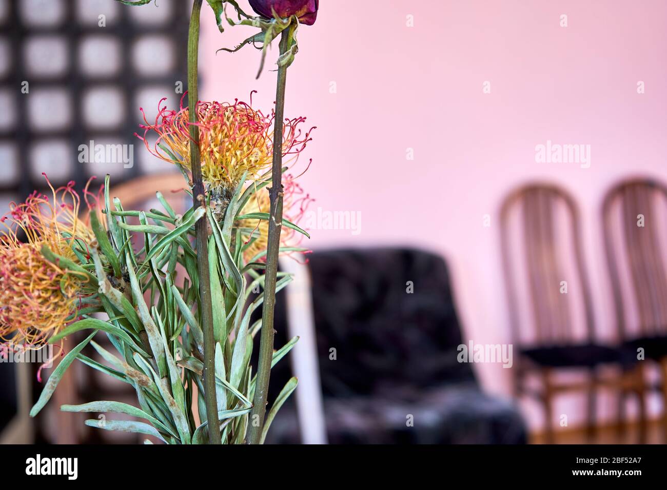 Fleurs séchées sur la table dans un vase Banque D'Images