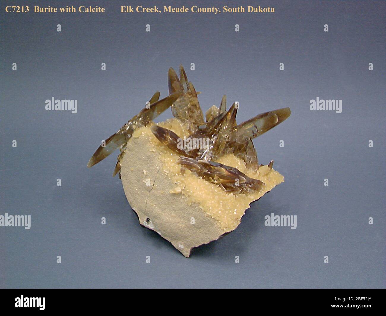 Barite avec calcite (NNH C7213-00) de la Collection nationale de minéraux. Banque D'Images