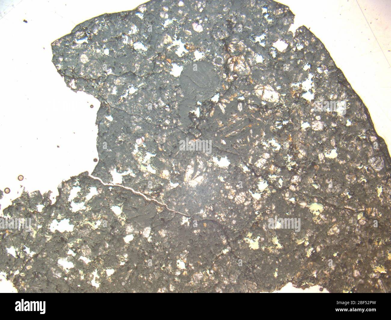 Micrographe de DOM 083902 météorite sous lumière polarisée en plan avec un agrandissement de 1,25 x. Banque D'Images Micrographe de DOM 083902 météorite sous lumière polarisée en plan avec un agrandissement de 1,25 x. Banque D'Images