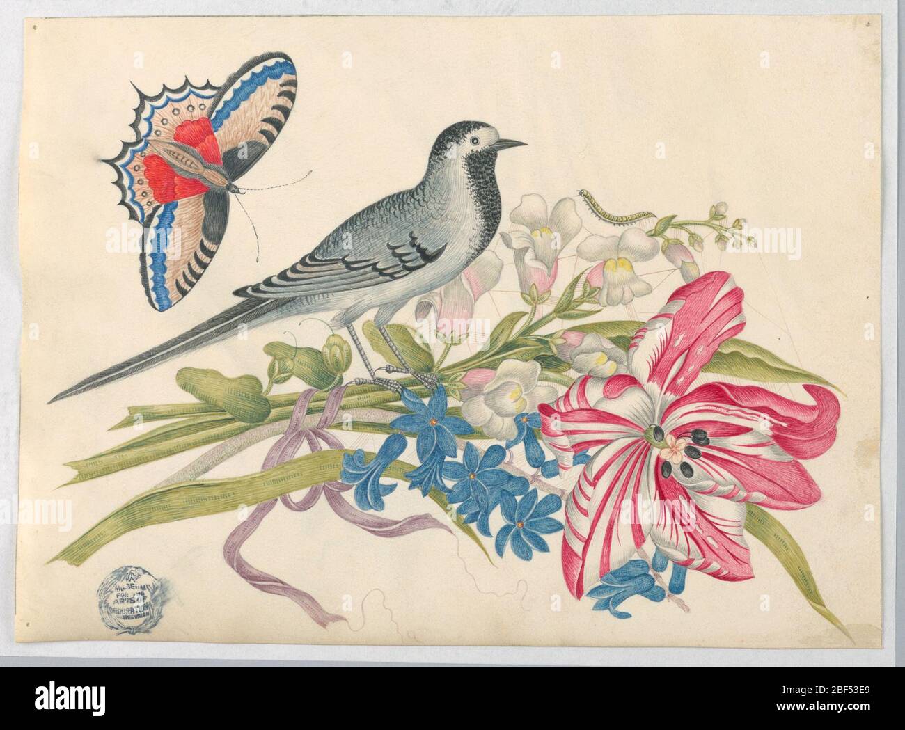 Oiseau gris sur branche avec vivannageons de tulipes et ForgetMeNots avec papillon. Oiseau gris sur branche avec tulipe, vivandrageons, et Forget-Me-Nots avec papillon Banque D'Images