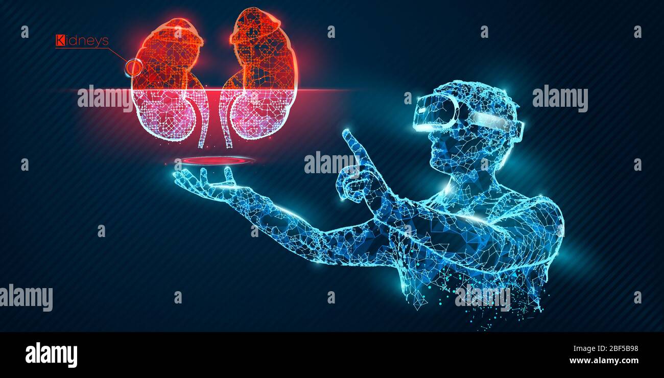 Bannière vectorielle de casque filaire VR. Homme polygonal portant des lunettes de réalité virtuelle, avec holographie des reins. Science, diagnostics, analyse virtuelle Illustration de Vecteur