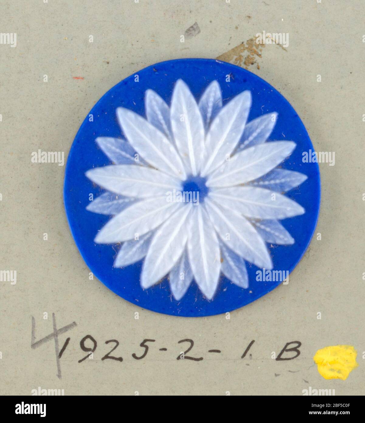 Médaillon. Médaillons de style Wedgwood Jasperware; une fleur blanche de vingt pétales sur un sol bleu. Le trou central indique qu'ils ont été prévus pour buttons.Components A/c est sur la carte 4 Banque D'Images