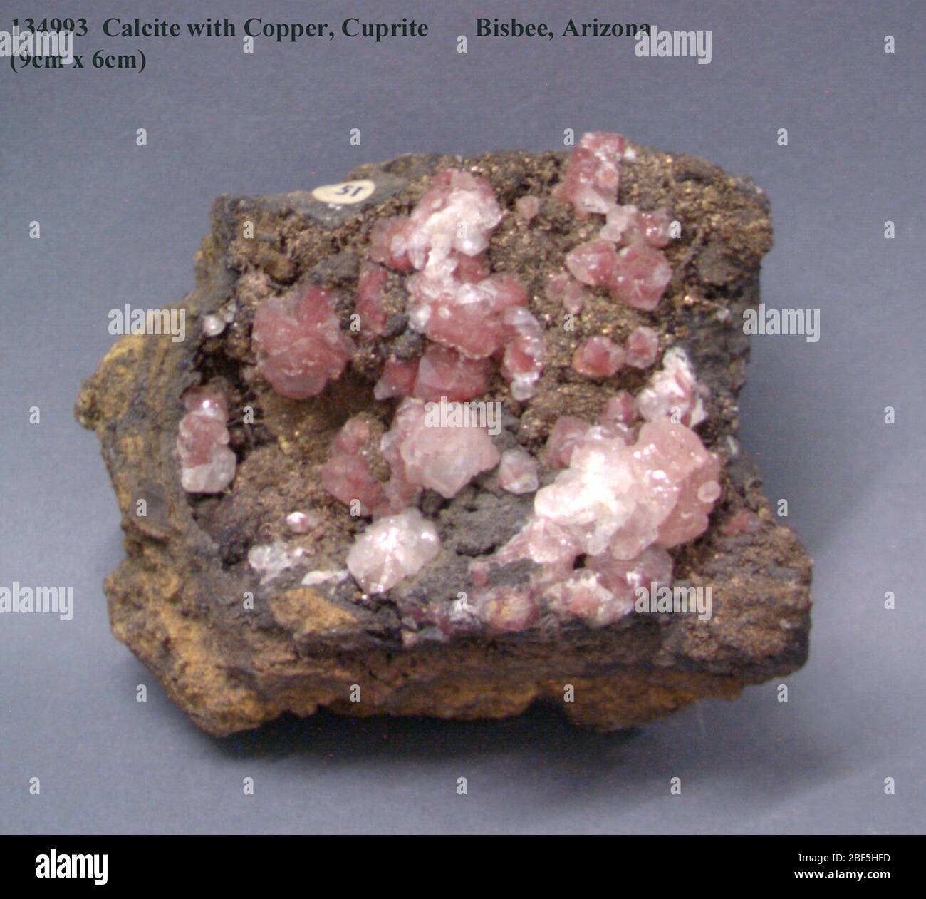 Calcite avec cuivre et cuprite (NNH 134993-00) de la Collection nationale de minéraux. Banque D'Images